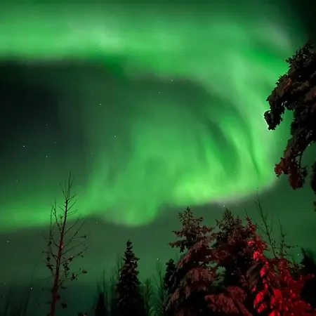 Arctic Log House * Hirvas