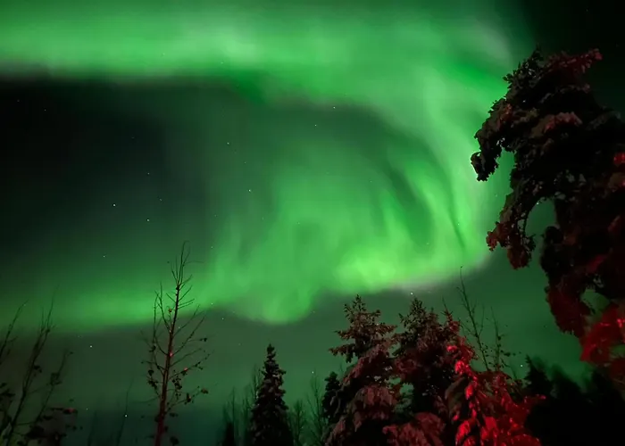 Arctic Log House * Hirvas